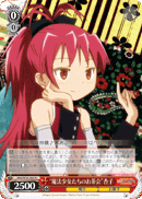 "Magical Girls' Tea Party" Kyoko