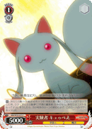 Conducting an Experiment, Kyubey