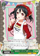 "Homely Idol" Nico Yazawa