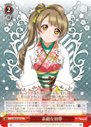 New Year's Dream