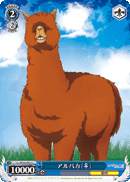 Alpaca (♀)