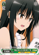 "Discipline Committee Activity Report" Yui