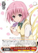 "Modest Support" Momo
