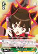 新たなる力 調