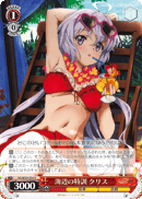 海辺の特訓 クリス