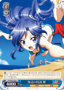 海辺の特訓 翼
