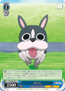 マロン