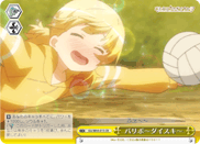 I Love Volleyball~