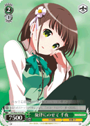 Riding the Melody, Chiya