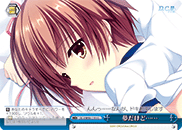 夢だけど……