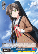 Winter Uniform, Tae Hanazono