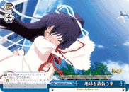 地球を背負う拳