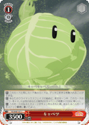Cabbage