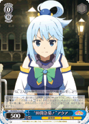 "Urgent Ally Recruitment!" Aqua
