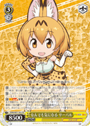 Serval, Curious About Everything