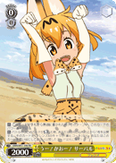 Serval, ROAR!