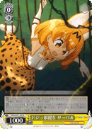 Serval, Ditzy Girl Lives