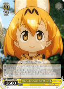 Serval, Saying Hi to Friends