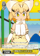Sand Cat, Really Interested?