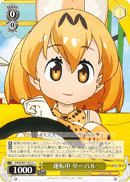 Serval, Driving