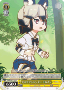 African Wild Dog, Cerulean Hunter