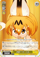 Serval, Did Well?