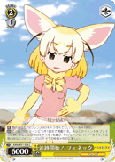 Fennec, Following!