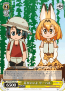 Serval, Good Ears
