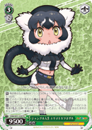 Ruffed Lemur, Jungle Life