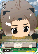 American Beaver, Biting on the Branch