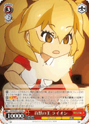 Lion, King of Beasts