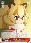 Lion, Leader Battle