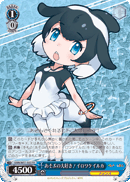 Commerson's Dolphin, Loves Playing!