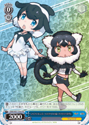 Commerson's Dolphin & Ruffed Lemur, Black White Friends!