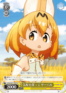 Serval, Searching for a Sign