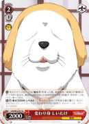 変わり身 しいたけ