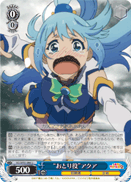 "Decoy" Aqua