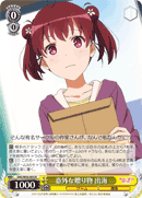 Unexpected Gift, Izumi