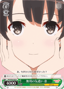 Unnecessary Concern, Megumi