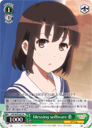 blessing software, Megumi