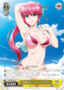 真夏のレジャー シグナム