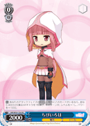 Petit Iroha