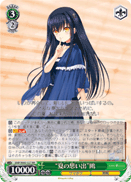 "Summer Pockets" Kamome