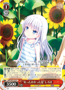 "Warm Summer" Shiroha