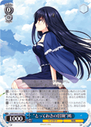 "Treasured Adventure" Kamome