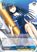 "Fulfilled Reality" Kamome
