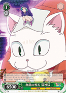 無敵の相方 猫神様