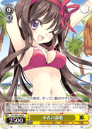水着の謳歌