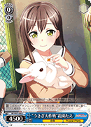 "Bunny Strategy" Tae Hanazono