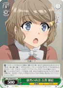 Sudden Reunion, Tomoe Koga